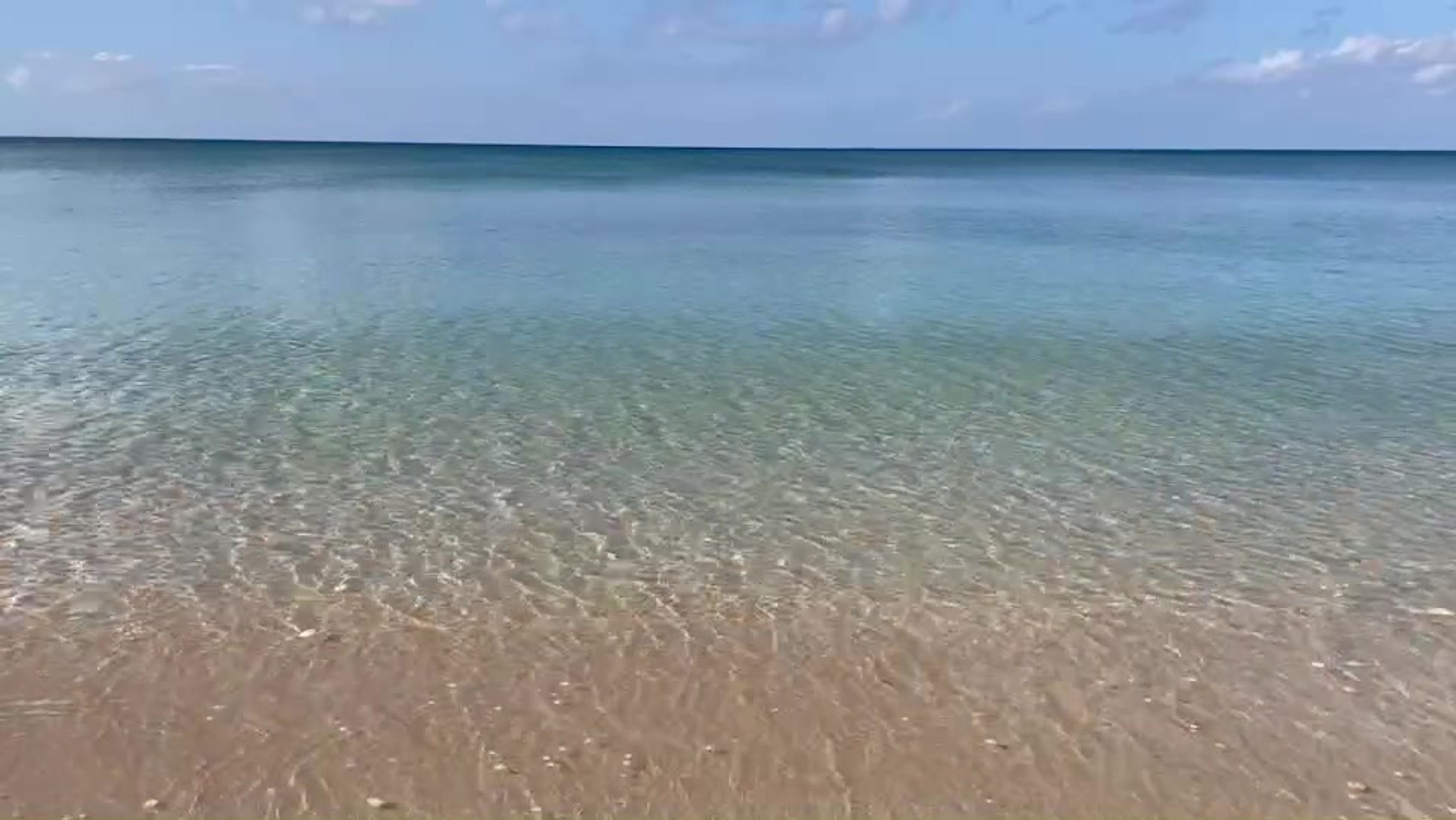 すべての動画